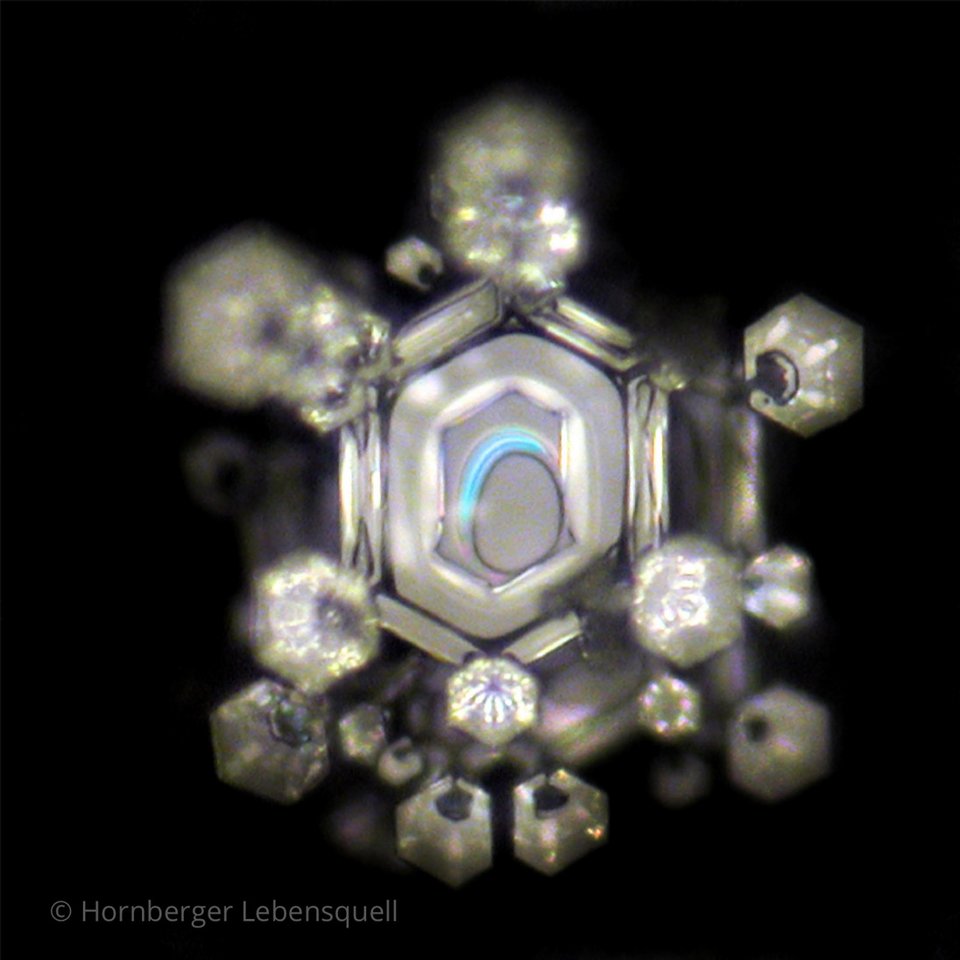 Wasserkristallfoto von Hornberger Lebensquell