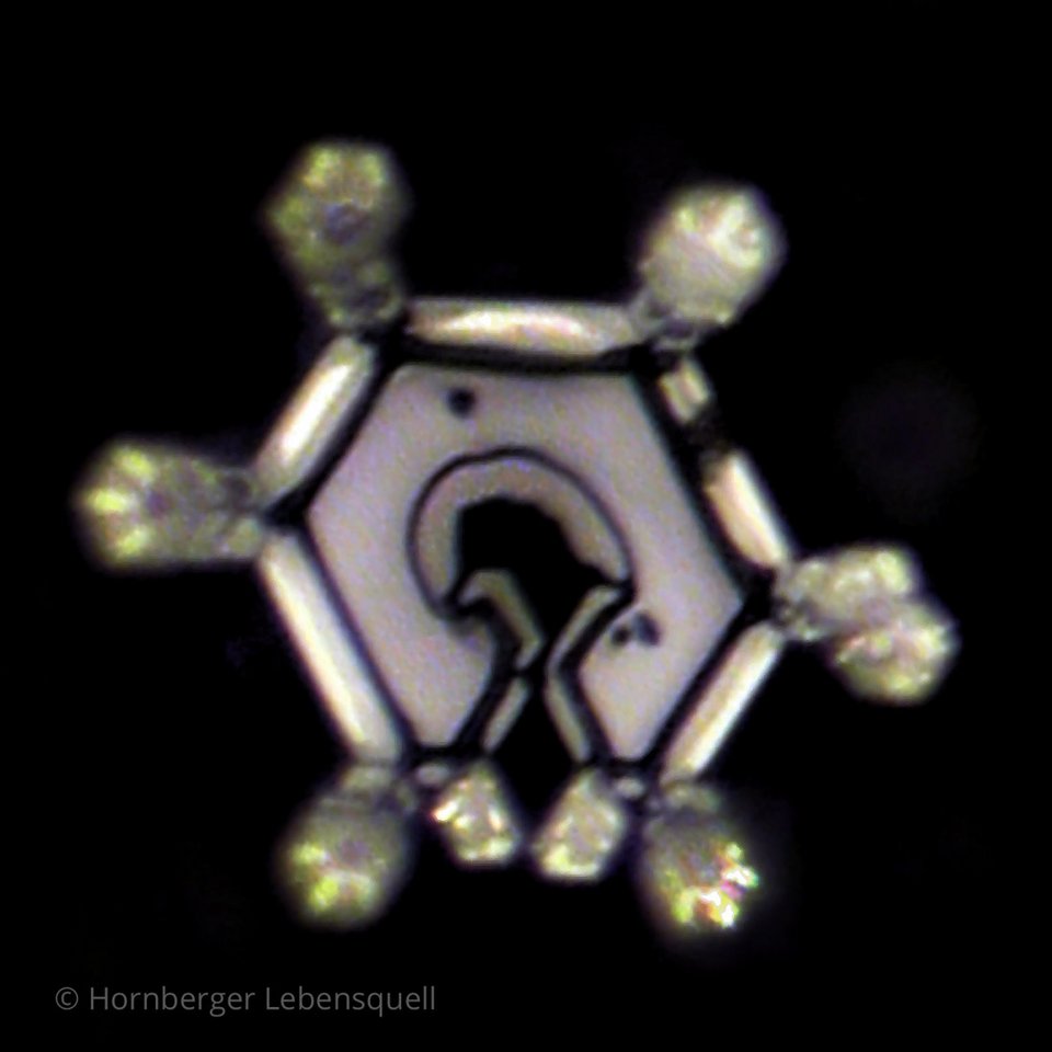 Wasserkristallfoto von Hornberger Lebensquell